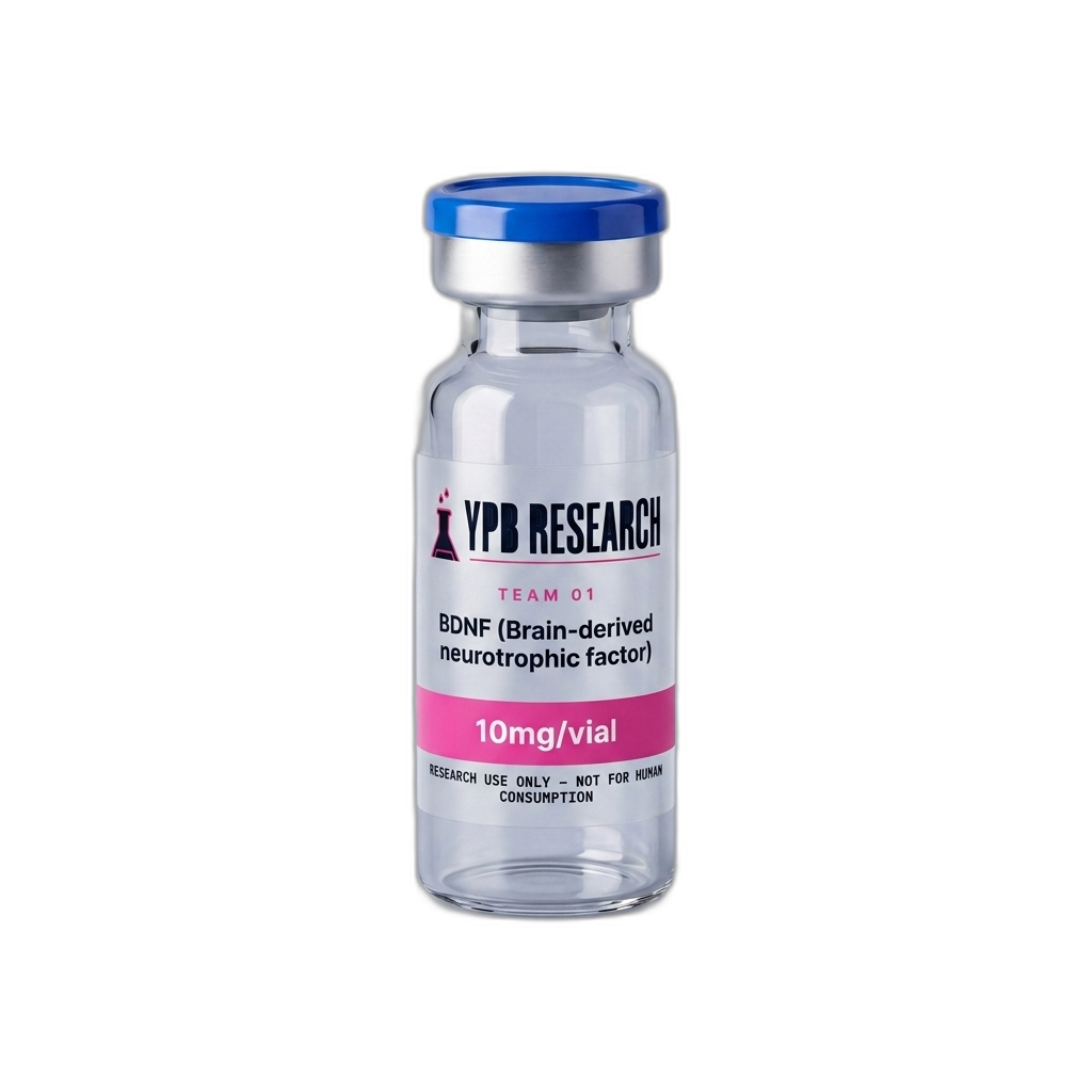 BDNF (Brain-derived neurotrophic factor) (10mg)
